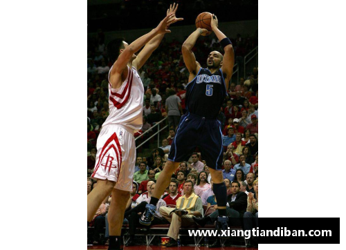 天博克罗地亚NBA球员布泽尔：生涯辉煌与才华横溢