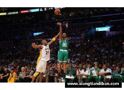 天博克罗地亚NBA现场直播：今日全面解析赛场精彩，精彩瞬间一览无余