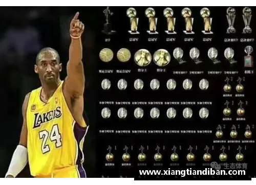 天博克罗地亚NBA篮球巨星：传奇生涯与超凡成就 - 副本
